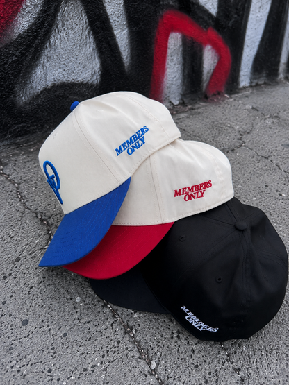 VSNRY Snapbacks